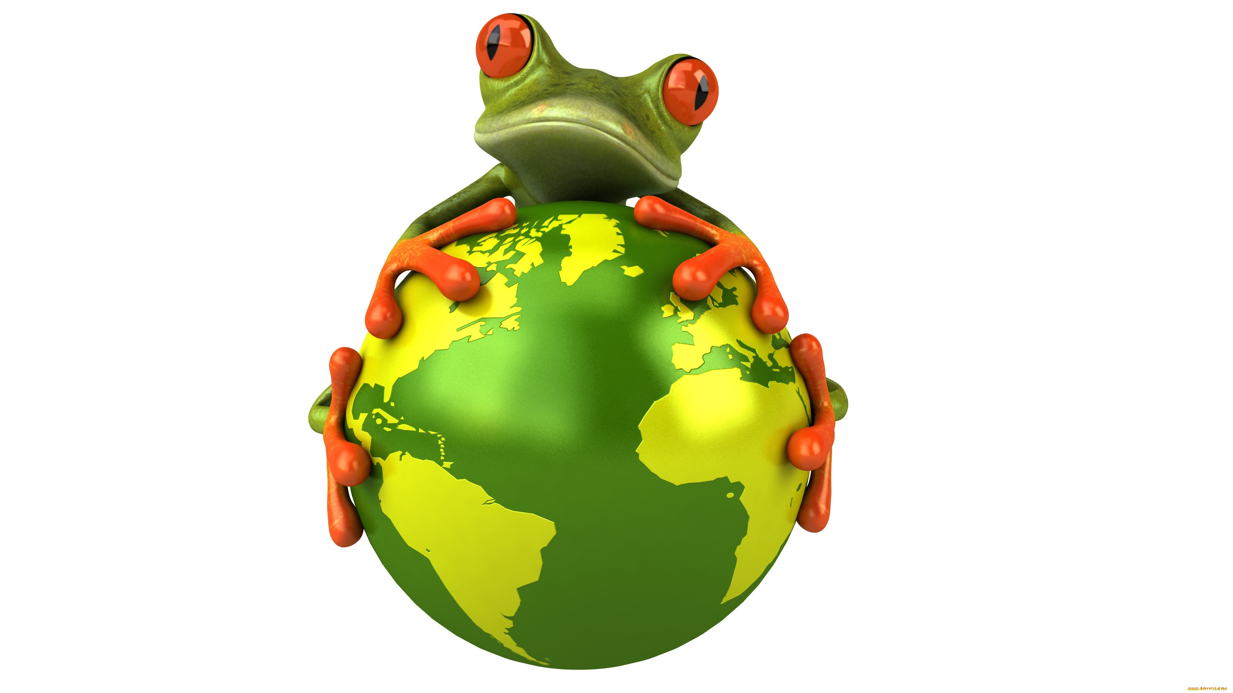 3 ,  , humor, , , free, frog, 3d, , , 